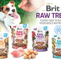 Brit RAW Freeze-Dried Treat & Topper