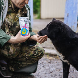 19 pallets for pets in Kherson, Ukraine