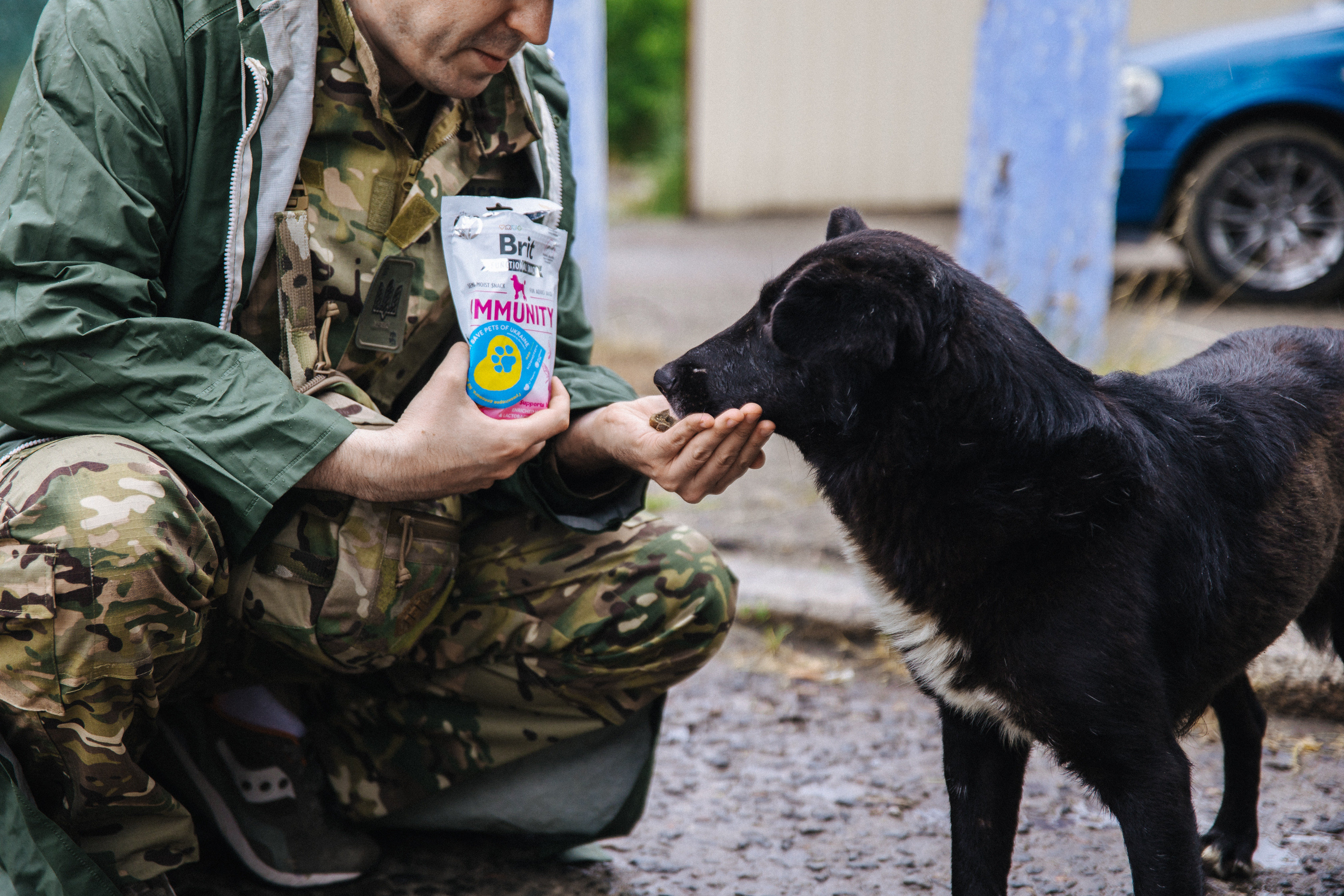 VAFO helps at Ukraine