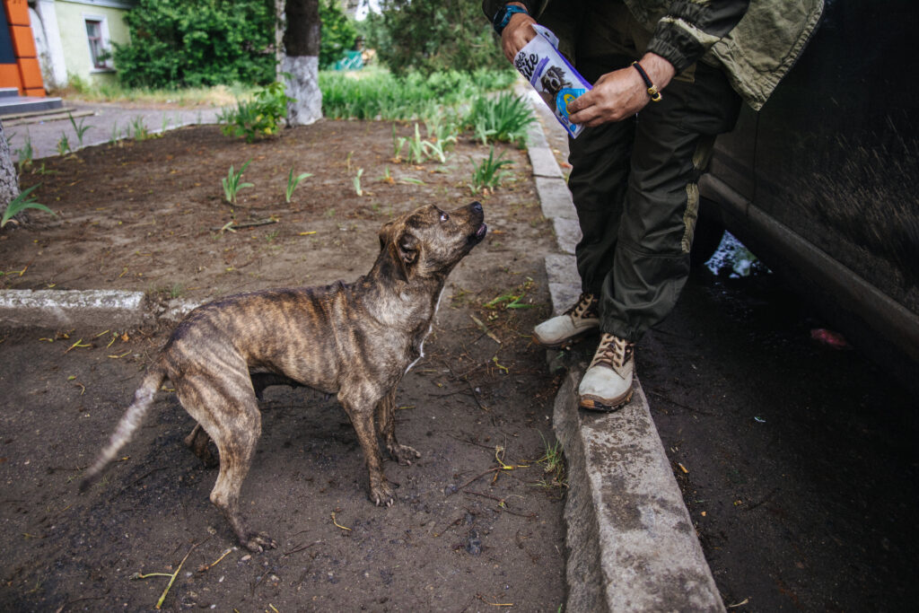 VAFO helps at Ukraine