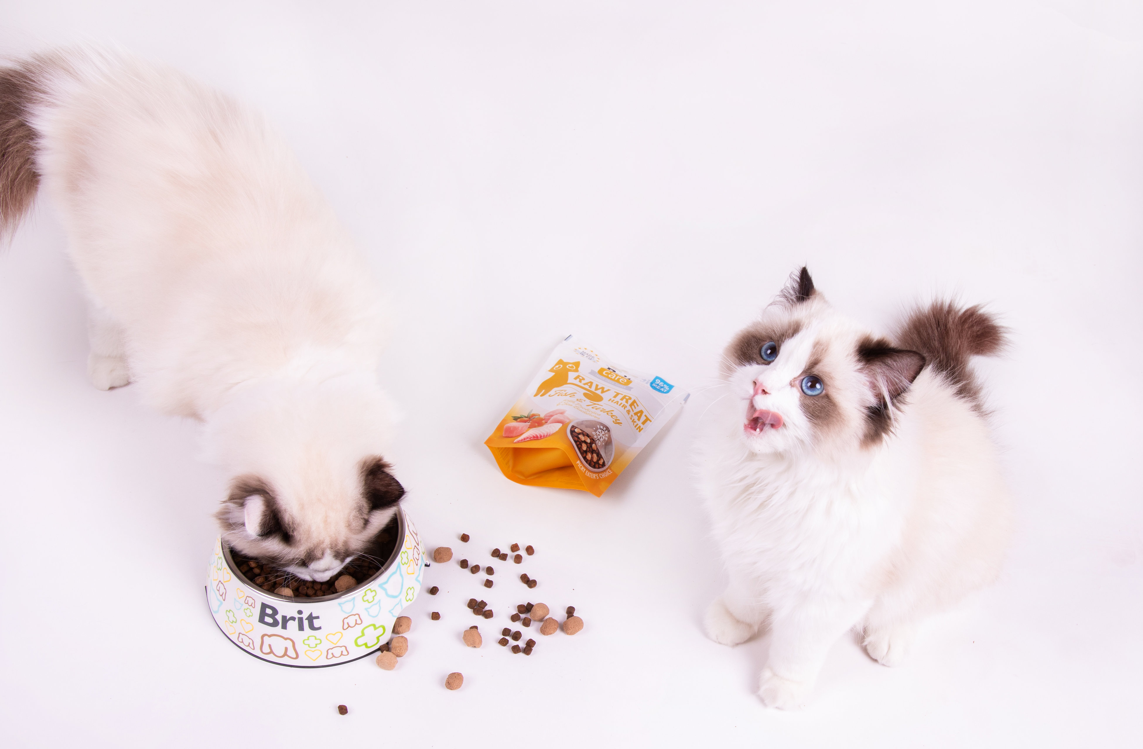 Take your cat s dining experience to a new level with treats containing 96 FRESH meat from Brit Care Cat RAW Treat Vafo