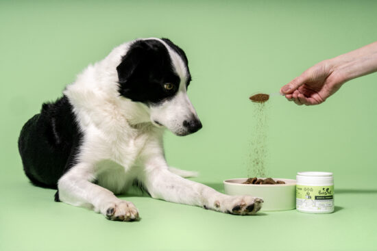 Pooch&Mutt Dental Powder