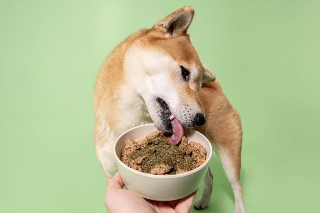 Pooch&Mutt Dental Powder