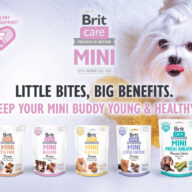 Brit care mini treats