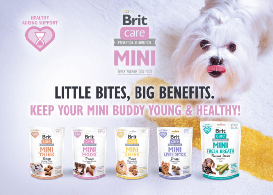 Brit care mini treats