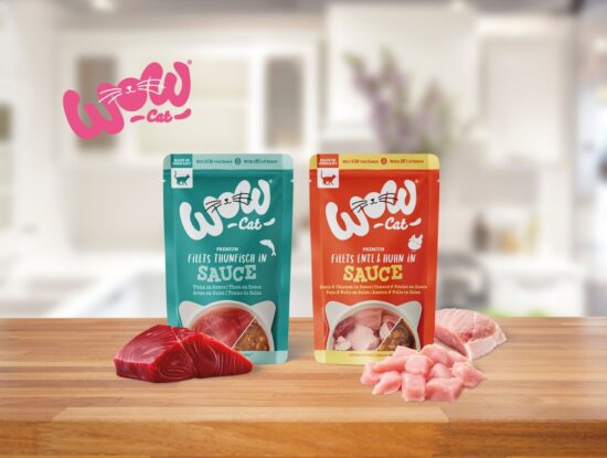 WOW Cat New Sauce