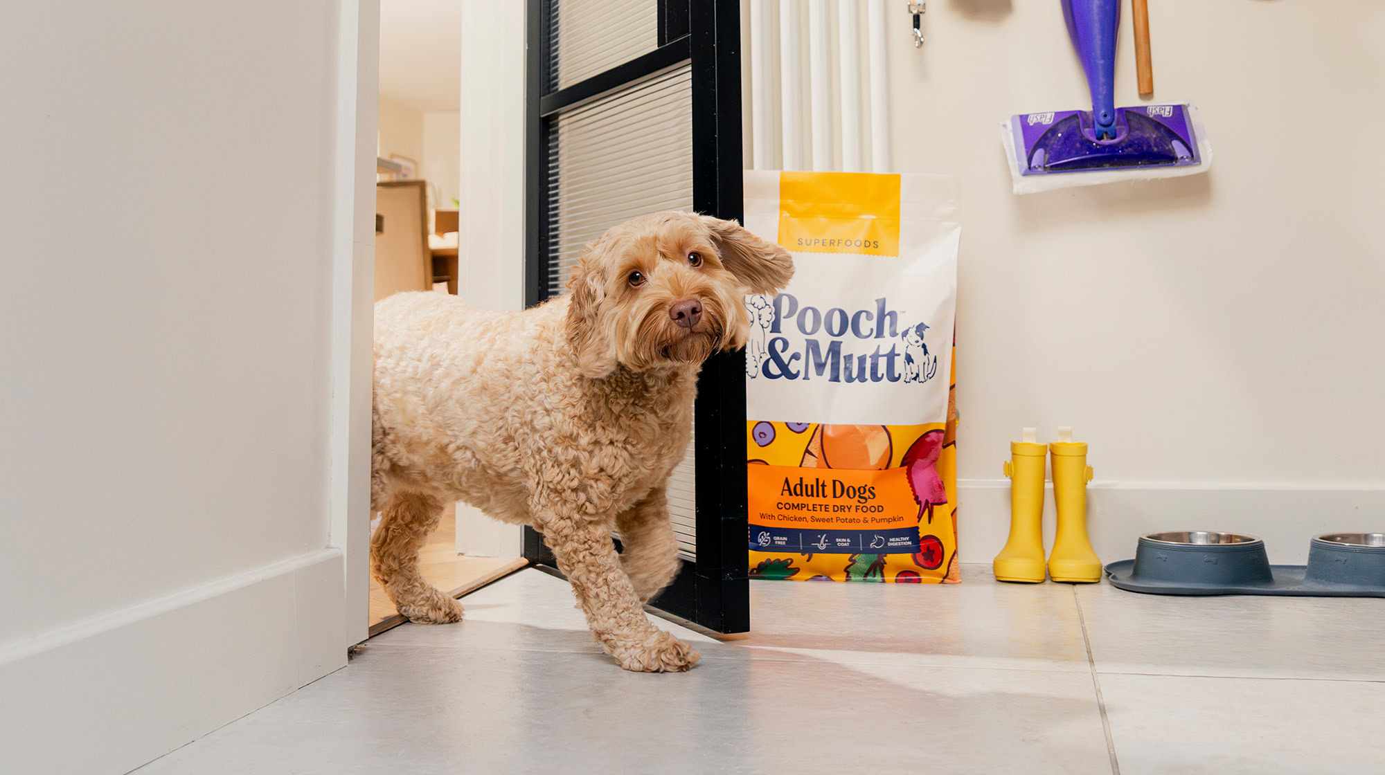 Poochit Pooch & Mutt unveils major rebrand ‘For All Breeds & Needs’ - Vafo