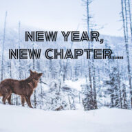 VAFO praha has a new managing director